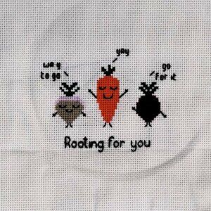 Rooting For You /  Cross Stitch / Completed, Hand Made